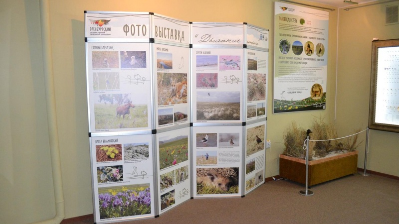 В Оренбургском губернаторском музее откроется выставка «Экологические этюды»