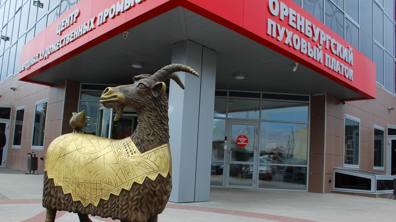 В рамках областного праздника «Дни оренбургского пухового платка» пройдет презентация скульптуры «Оренбургская коза»