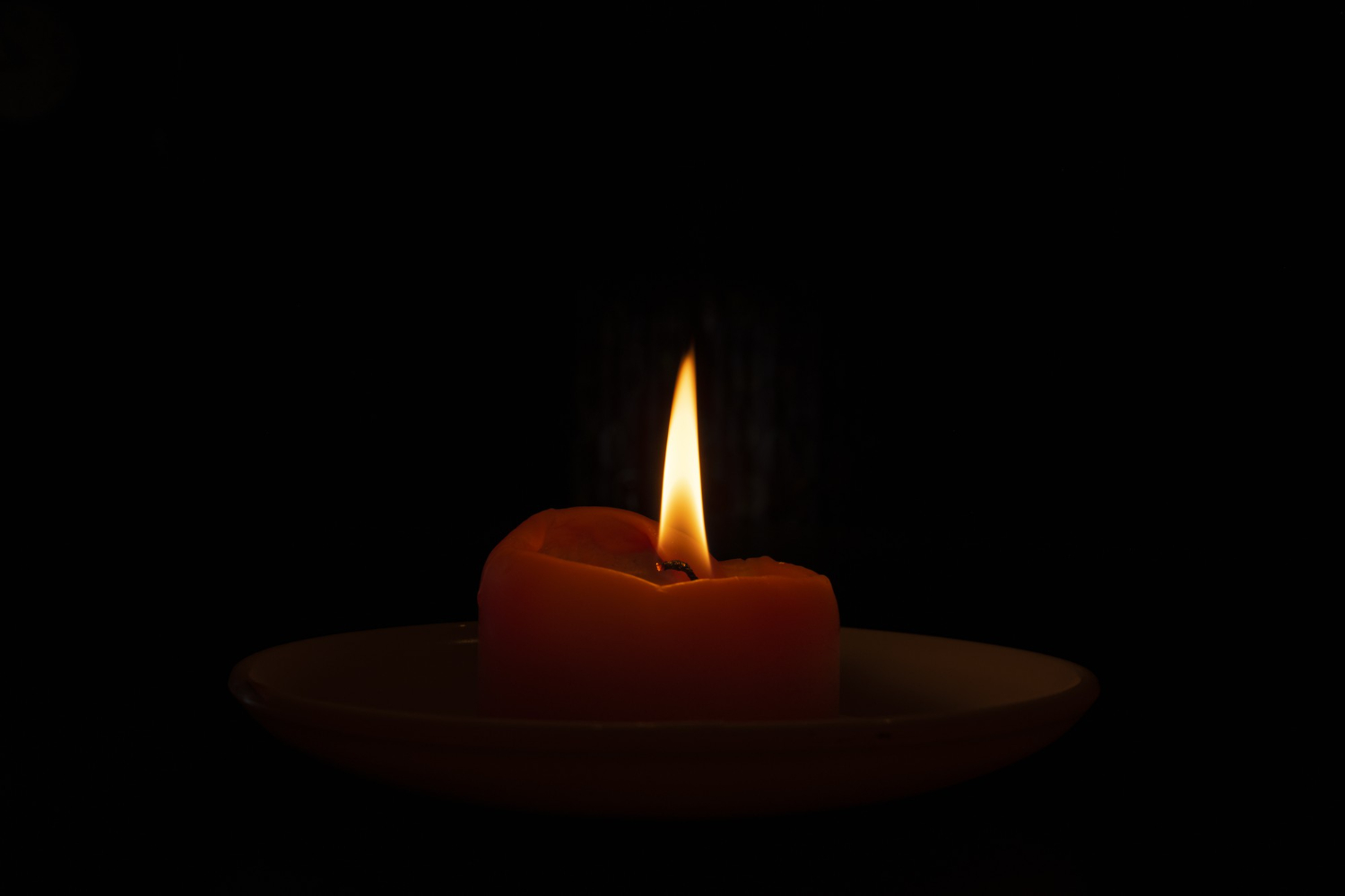 Общественный совет при министерстве культуры Оренбуржья выразил соболезнования семьям погибших в теракте в «Крокус Сити Холле»