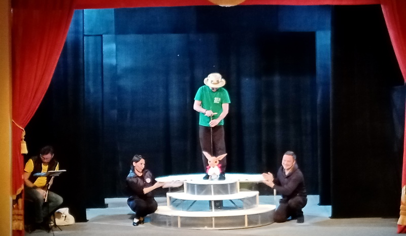 Театр кукол «Пьеро» готовит премьеру «Мой друг Слонёнок» (4+)