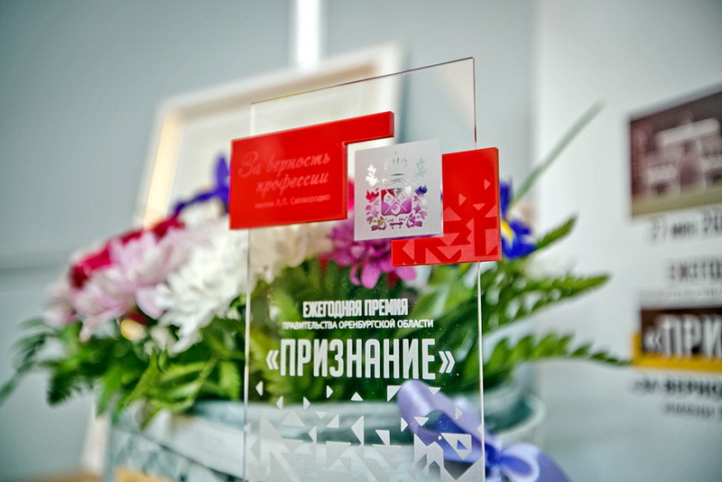 Лучшим библиотекарям вручат премии Правительства Оренбургской области «Признание»