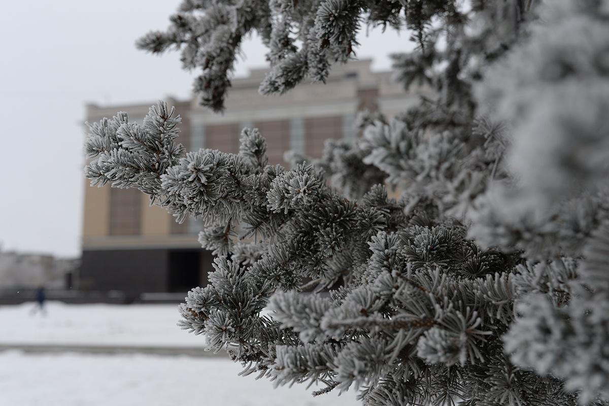 Занятие «Традиции семейных праздников»