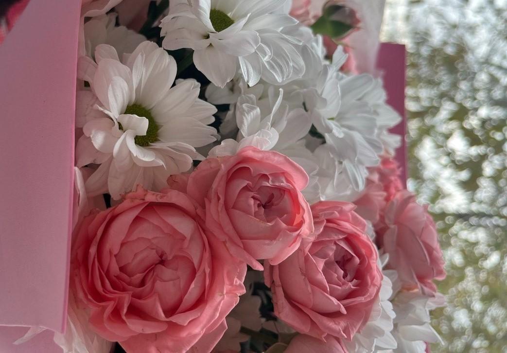 Программа «От сердца к сердцу»