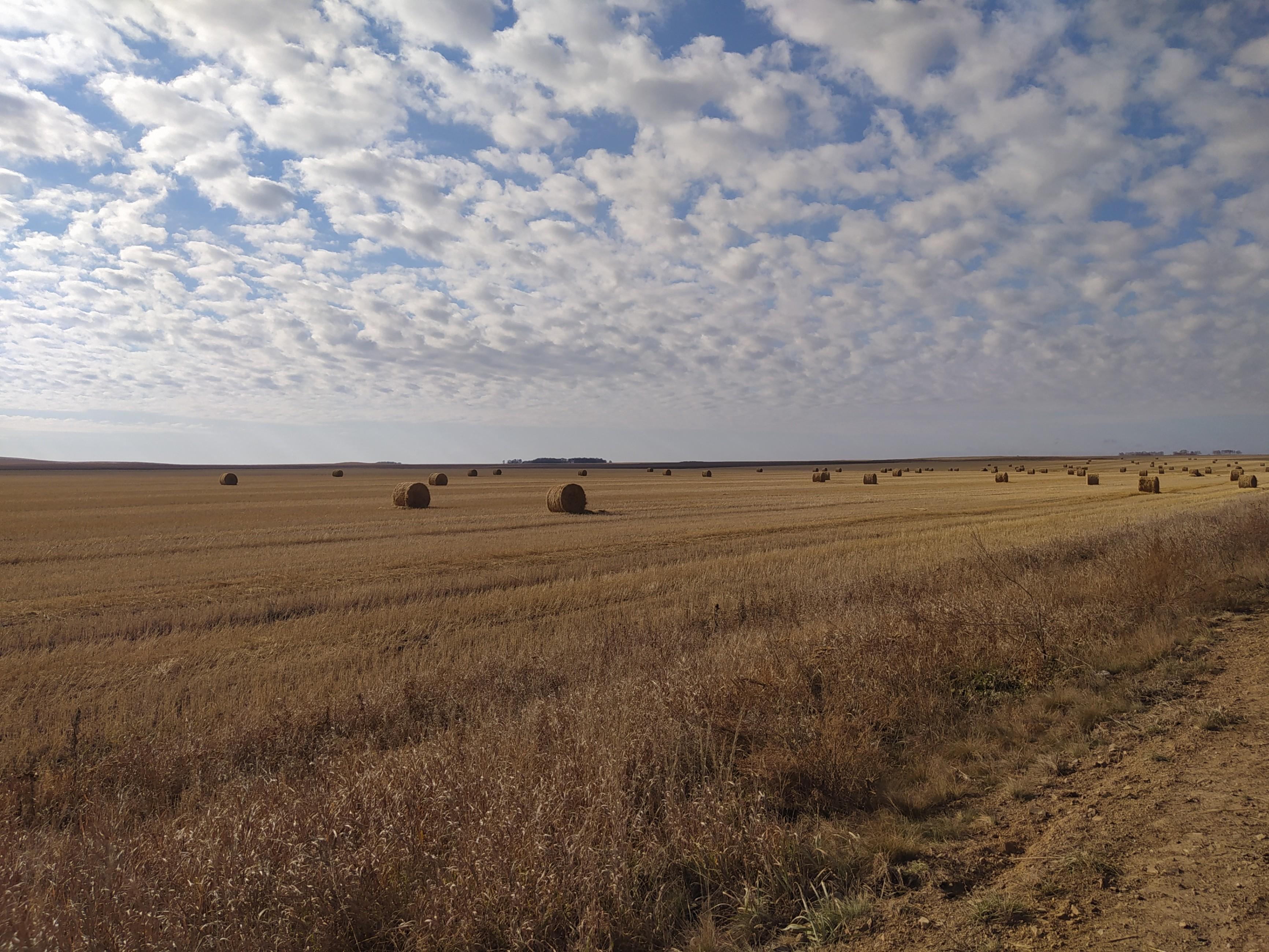 Познавательная программа «По родному краю смело я шагаю»