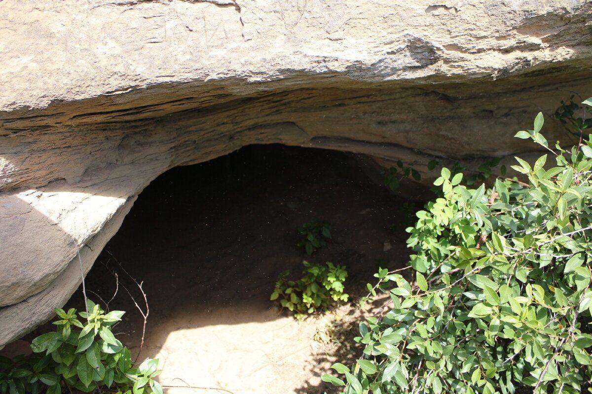 Программа «Каргалы»