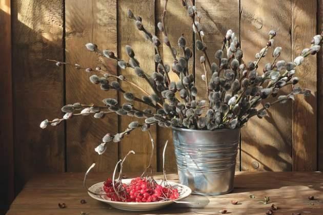 Программа «Ветки вербочки коснись, с миром счастьем поделись!»