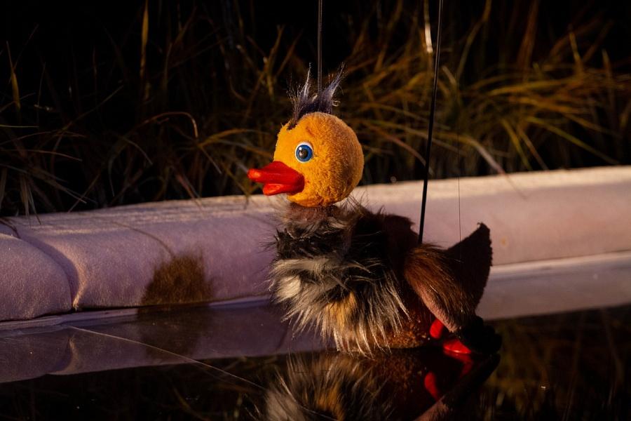 Спектакль «Серая Шейка»