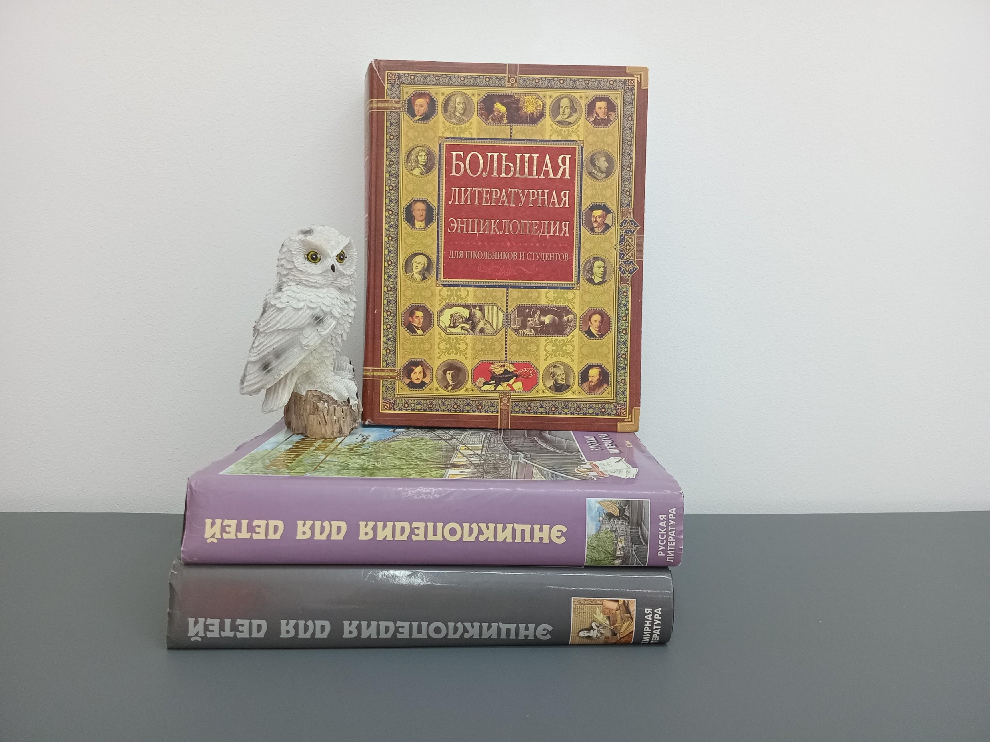 Литературная игра «Умники и умницы»