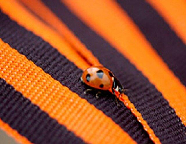 Мастер-класс «Символ Победы»