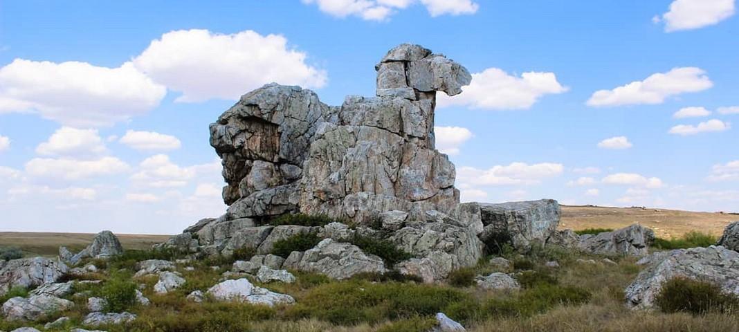 Краеведческий час «Памятники природы Оренбургской области»